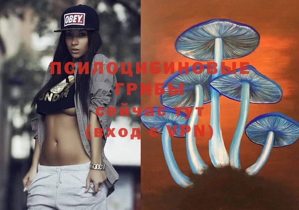 круглые Иннополис