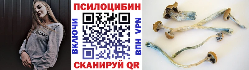 Купить  Верхний Уфалей  Галлюциногенные грибы мицелий 